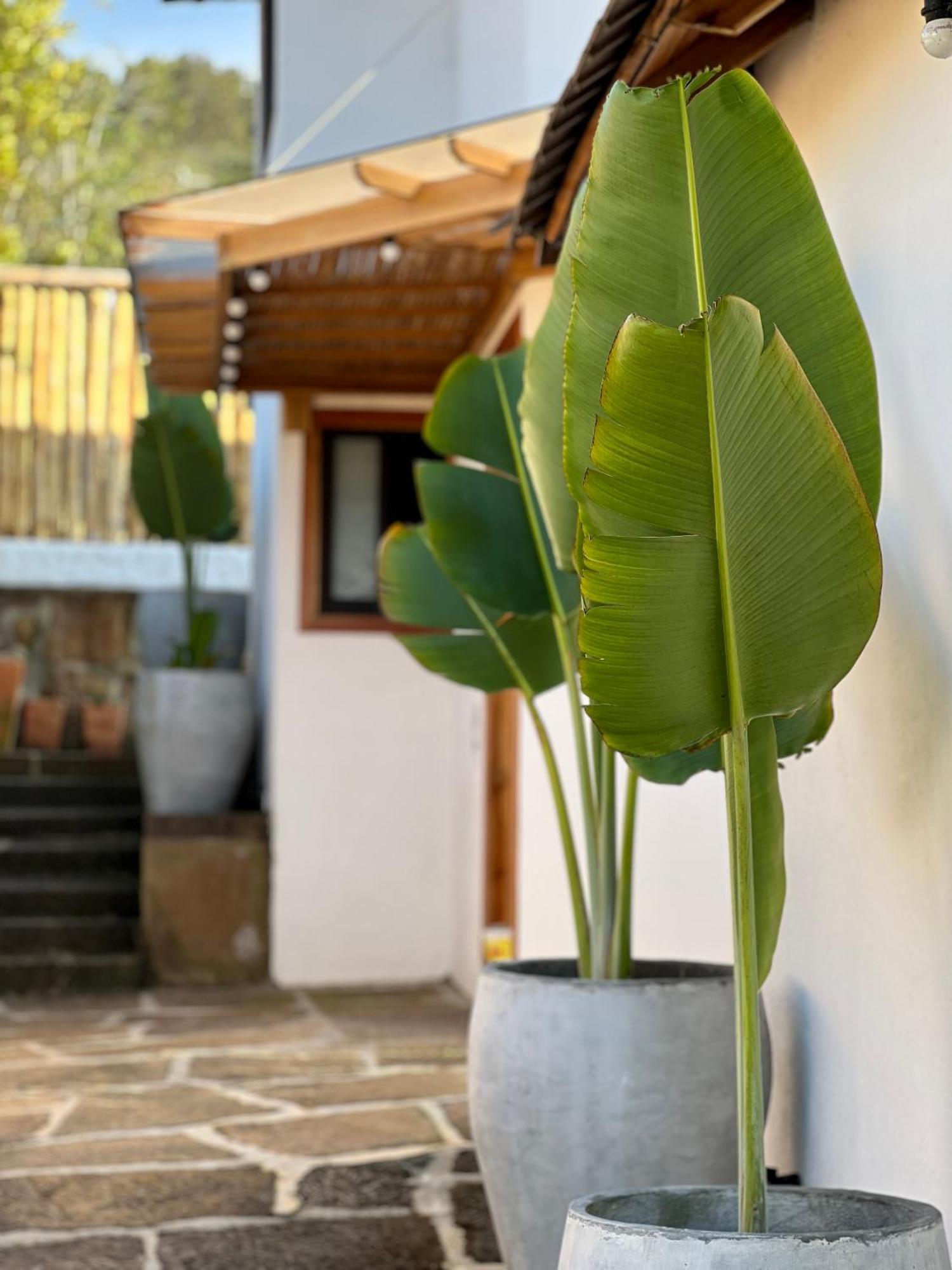 Hotel Campestre Palmas Del Zamorano San Gil Buitenkant foto